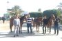 تشکر و قدردانی از لطف باشگاه امید زمان در خصوص در اختیار گداشتن اسب های باشگاه برای مراسم 12 بهمن